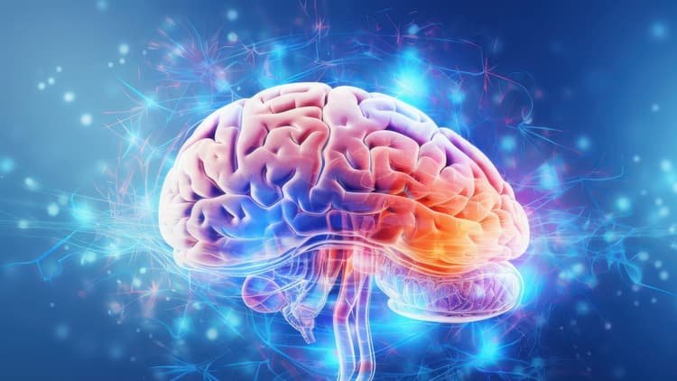 A colorful illustration of the human brain, where researchers identified more than 1,000 previously overlooked microproteins